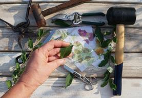 Tataki Zomé, Flower Pounding Workshop