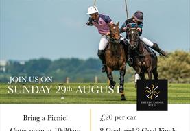 Druids Lodge Picnic Polo