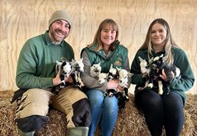 Kidding Season at Roves Farm