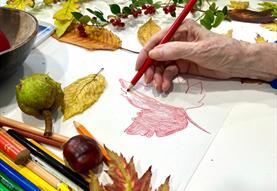 Noticing Nature