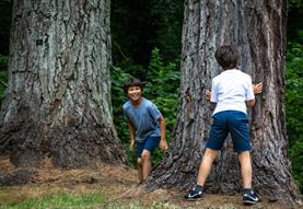 Green Games at Westonbirt – family summer trail