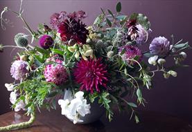 Grow Your Own Flowers