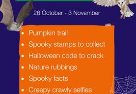 Halloween Nature Trail