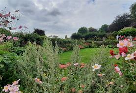 Open Garden for Salisbury Hospice Charity