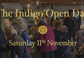 Indigo Festive Open Day