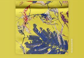 Exploring Colour using Heat Press with Clare Walsh
