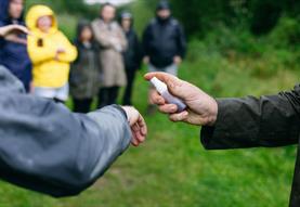 Foraging Walk