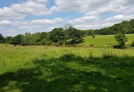 Aldbourne Open Gardens