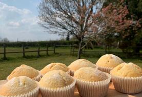 8+ Yrs Holiday Cookery Club