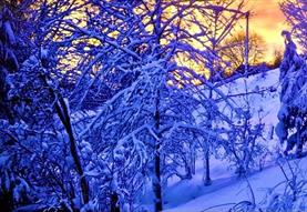 Trio Paradis Café Concert: A December Evening at Bradford on Avon