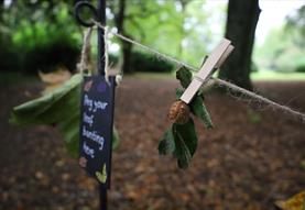 Autumn Adventures at Lacock Abbey