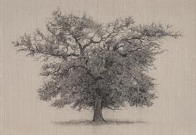 Clare Duguid Solo Exhibition