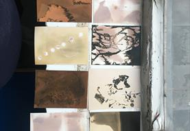 Eco-photography workshops with the Sustainable Darkroom