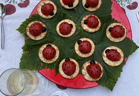 Bug Grub - Food of the Future?