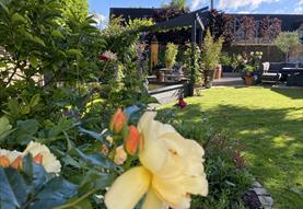 Sherston Open Gardens Weekend