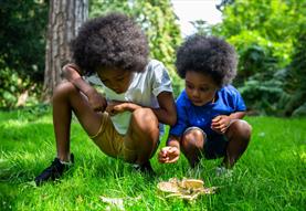 Wonderful World of Fungi