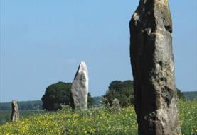 Landscape Walk—Waden Hill