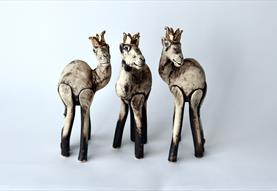 Not just Camels...