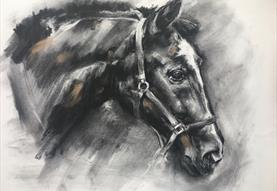 SKYE HOLLAND: LIVE HORSE DRAWING WORKSHOPS