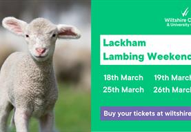 Lackham Lambing Weekends