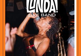 November Waverley Music Event for Dorothy House Hospice - with live band!