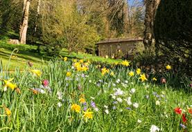 Iford Manor Gardens: "Rares and Spares" Plant Sale