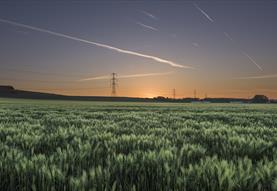 Digging for History: the Secrets of Devizes' Roundway Down