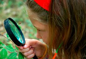 Nature Detectives at Roves Farm