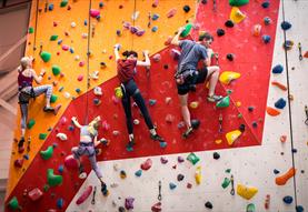 Olympic Climbing Tasters