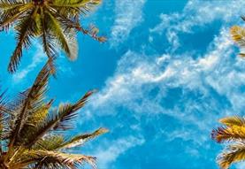 Tropical Treat for the over 60's