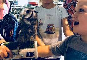 BRILLIANT BIRDS - October Half Term Activities