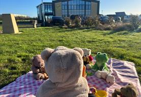 Teddy Bears Picnic