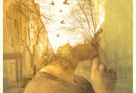 The Power of Imagination: A creative writing workshop for adults