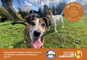 Paws for a Cause