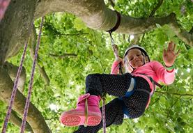 Big Tree Climb organised by The Great Big Tree Climbing Company