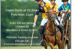 Picnic Polo - Druids Lodge Polo Club