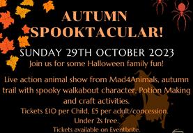 Autumn Spooktacular!