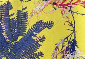Printing with Leaves using Heat Press with Clare Walsh