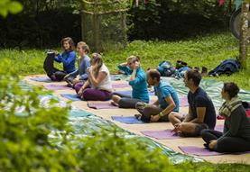 Relax with Yoga on the Lawn