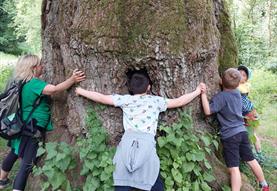 Family Walk at Savernake Forest