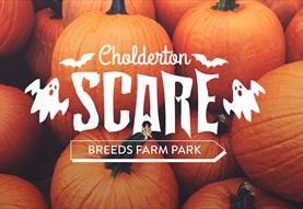 Cholderton SCARE Breeds Farm Halloween Half Term