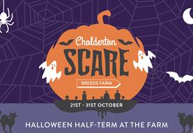 Halloween Half-Term at Cholderton Scare Breeds Farm