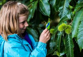 Spectacular Seeds Discovery Day – family event