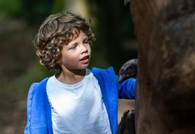 Sensory Woodland – family discovery day