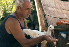 The Tale of Silyan (Cert 12A)