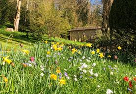 Winter Tour of Iford Manor Gardens with Head Gardener Steve Lannin