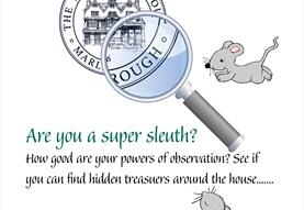 Are you a super sleuth? A half-term treat for all junior detectives!