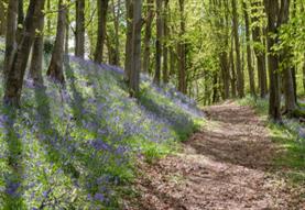 Walks & Talks Guided Tours