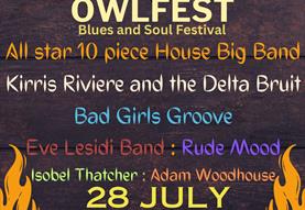 OWLFEST