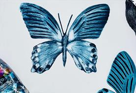 Tetra-Pak Printmaking with Caroline Rudge
